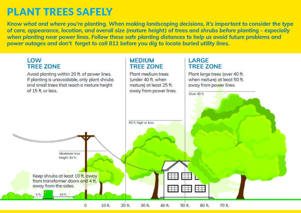 Guide for planting trees